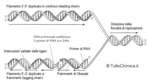 Ligasi Ligase